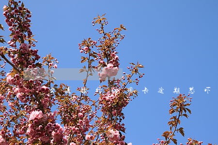 交通银行信用卡逾期恐吓短信 交通银行信用卡逾期恐吓短信