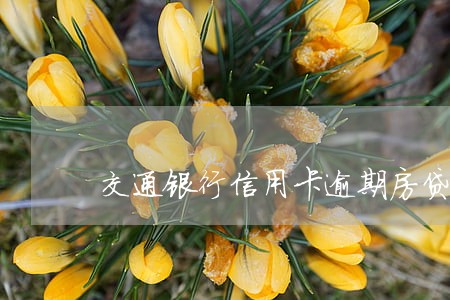 交通银行信用卡逾期房贷 交通银行信用卡逾期房贷
