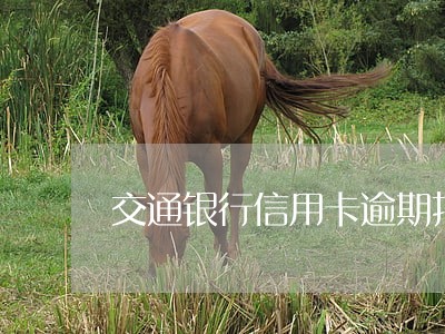 交通银行信用卡逾期打电话到老家 交通银行信用卡逾期打电话到老家
