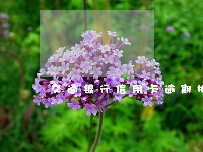 交通银行信用卡逾期扣款 交通银行信用卡逾期扣款