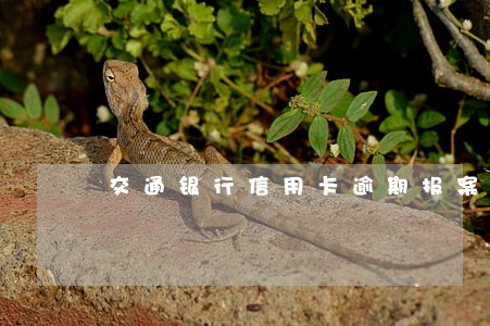 交通银行信用卡逾期报案