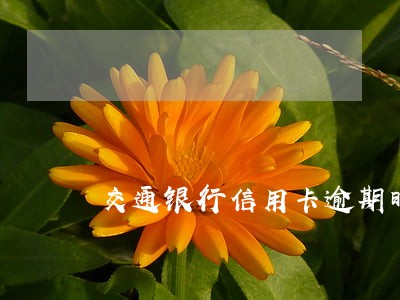 交通银行信用卡逾期时间 交通银行信用卡逾期时间