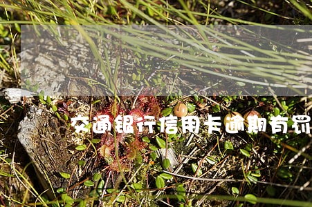 交通银行信用卡逾期有罚金吗 交通银行信用卡逾期有罚金吗