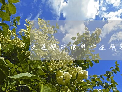交通银行信用卡逾期案件 交通银行信用卡逾期案件