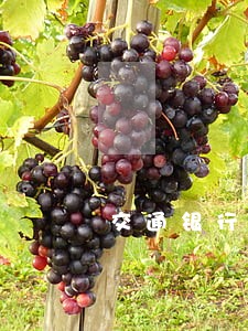 交通银行信用卡逾期永久封卡 交通银行信用卡逾期永久封卡
