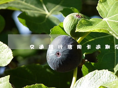 交通银行信用卡逾期没有额度 交通银行信用卡逾期没有额度