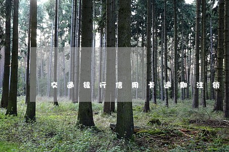 交通银行信用卡逾期注销怎么办