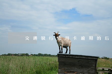 交通银行信用卡逾期的后果
