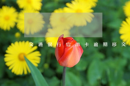 交通银行信用卡逾期移交本地 交通银行信用卡逾期移交本地