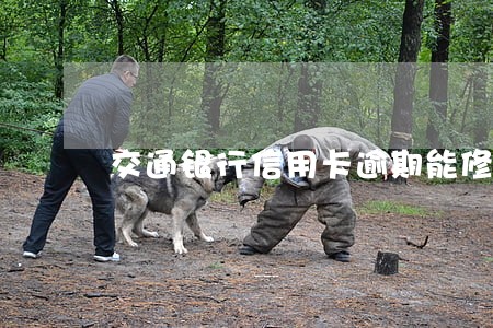 交通银行信用卡逾期能修改么