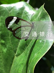交通银行信用卡逾期能减免吗 交通银行信用卡逾期能减免吗