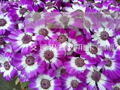 交通银行信用卡逾期能投诉吗