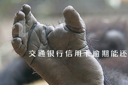 交通银行信用卡逾期能还最低吗 交通银行信用卡逾期能还最低吗