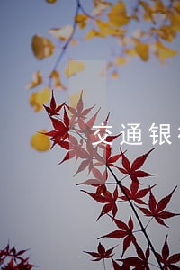 交通银行信用卡逾期被催收寄信 交通银行信用卡逾期被催收寄信