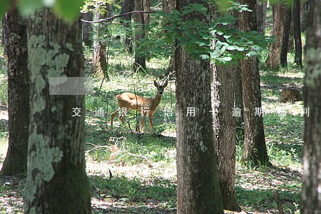 交通银行信用卡逾期被判刑