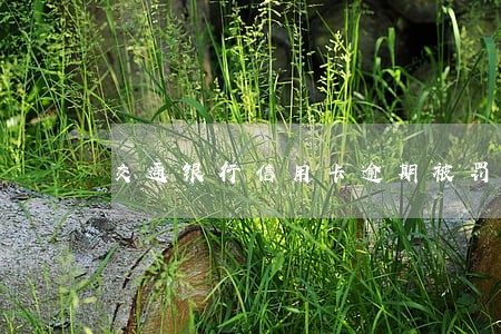 交通银行信用卡逾期被罚款