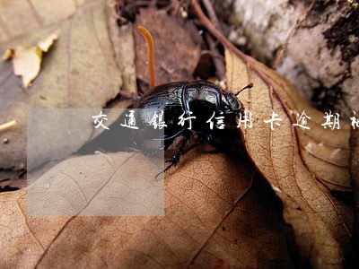 交通银行信用卡逾期被起立案 交通银行信用卡逾期被起立案