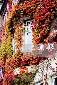 交通银行信用卡逾期警察会上门吗