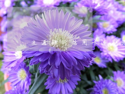 交通银行信用卡逾期记录能消除 交通银行信用卡逾期记录能消除