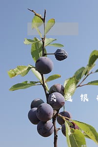 交通银行信用卡逾期走访