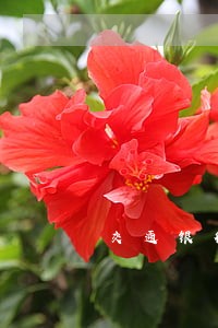 交通银行信用卡逾期超过四个月