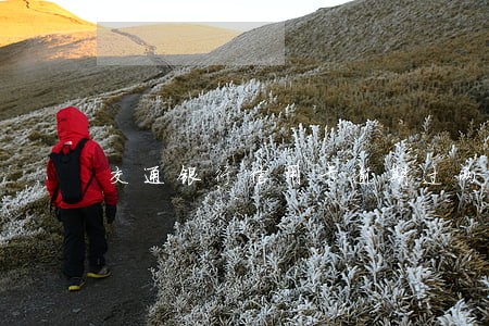交通银行信用卡逾期过两次 交通银行信用卡逾期过两次
