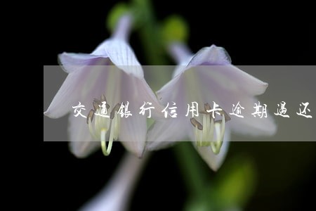 交通银行信用卡逾期过还能贷款 交通银行信用卡逾期过还能贷款
