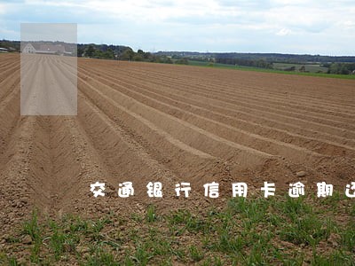 交通银行信用卡逾期还上