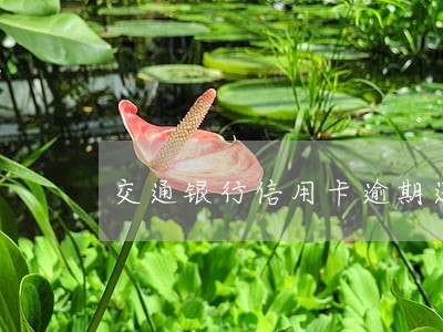 交通银行信用卡逾期还清 交通银行信用卡逾期还清