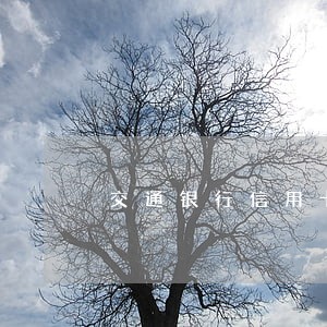 交通银行信用卡逾期还能办理 交通银行信用卡逾期还能办理