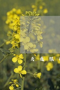 交通银行信用卡逾期问我要住址