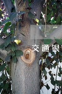 交通银行信用卡逾期降额到10 交通银行信用卡逾期降额到10