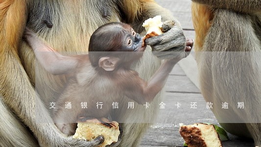 交通银行信用卡金卡还款逾期