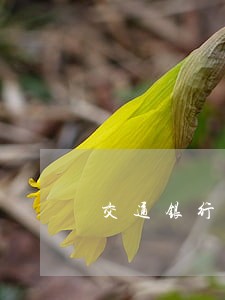 交通银行信用逾期5000 交通银行信用逾期5000