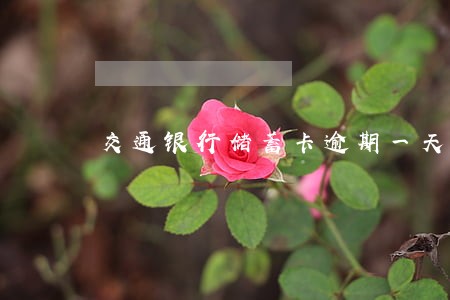 交通银行储蓄卡逾期一天 交通银行储蓄卡逾期一天