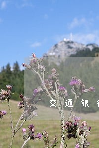 交通银行几天上报逾期 交通银行几天上报逾期