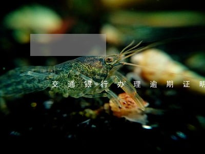 交通银行办理逾期证明 交通银行办理逾期证明
