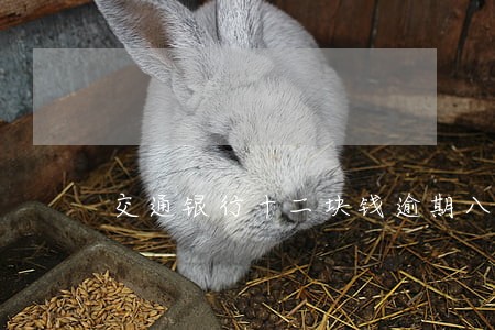 交通银行十二块钱逾期八天 交通银行十二块钱逾期八天