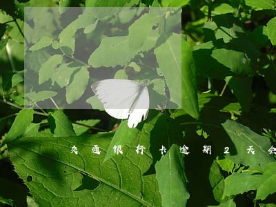 交通银行卡逾期2天会上征信吗 交通银行卡逾期2天会上征信吗