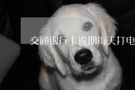 交通银行卡逾期每天打电话 交通银行卡逾期每天打电话