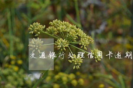交通银行处理信用卡逾期流程