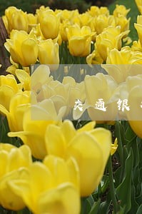 交通银行如何查信用卡逾期 交通银行如何查信用卡逾期
