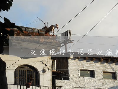 交通银行忘记还款逾期6天 交通银行忘记还款逾期6天