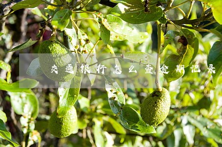 交通银行怎么查逾期记录 交通银行怎么查逾期记录