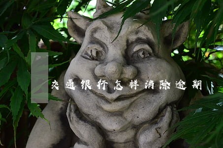 交通银行怎样消除逾期 交通银行怎样消除逾期