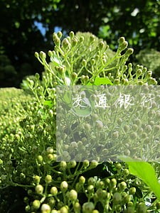 交通银行惠民贷逾期一个月 交通银行惠民贷逾期一个月