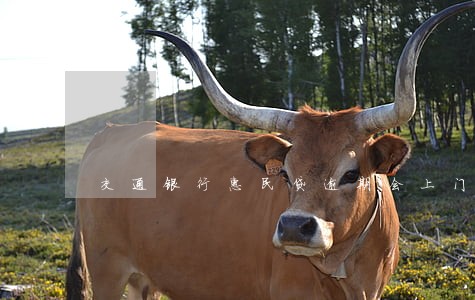 交通银行惠民贷逾期会上门吗 交通银行惠民贷逾期会上门吗