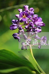 交通银行惠民贷逾期如何协商 交通银行惠民贷逾期如何协商