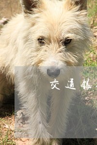 交通银行惠民贷逾期律师解说 交通银行惠民贷逾期律师解说