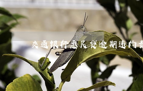 交通银行惠民贷逾期违约责任 交通银行惠民贷逾期违约责任